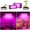 LED Grow Light 2