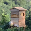 Wooden Bee Hive 5