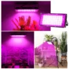 LED Grow Light 6